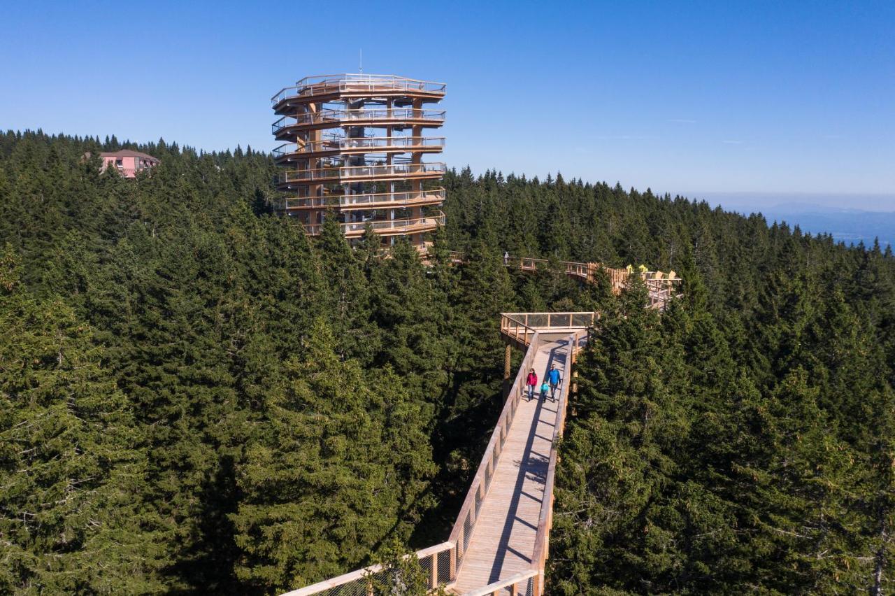 Hotel Planja Зрече Экстерьер фото